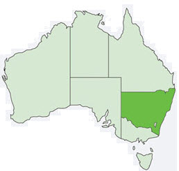 NSW1